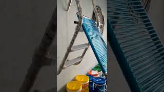 Encaixe Rampa Save-Dog