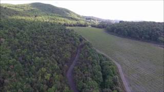 Vigneto Tenuta Prima Pietra