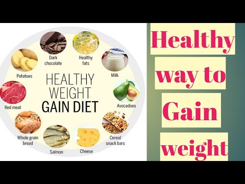 Full Day Meal Plan For Weight Gain || Weight Gain Tips - YouTube