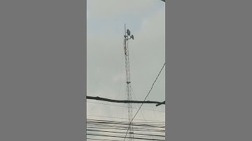 Bisnis internet ilegal pakai tower  mini tanpa ijin mengganggu pesawat lewat