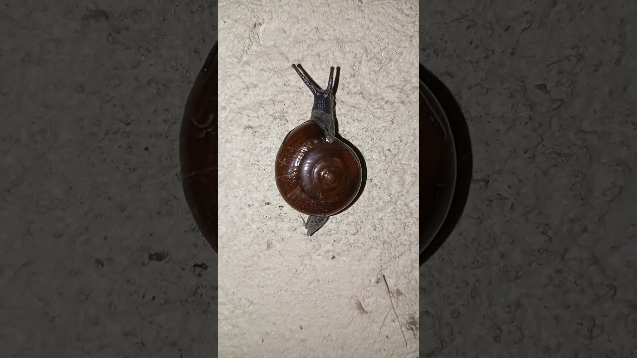 Today rainfall sanil #shorts #vairal videos #sanil