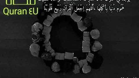 4 دقائق من سورة النحل بصوت عبدالرحمن مسعد ارح قلبك❤ تلاوة هادئة 🌸