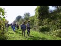 UMBRIA - Sentieri d'Autunno le vigne - Full HD