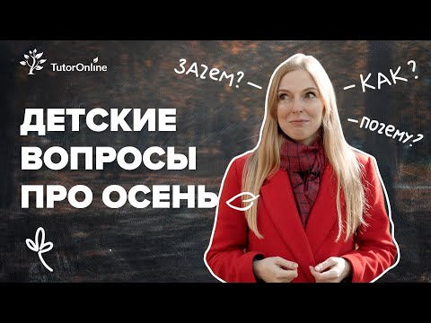 Детские вопросы про осень. Почему листья желтеют осенью?  Биология | TutorOnline