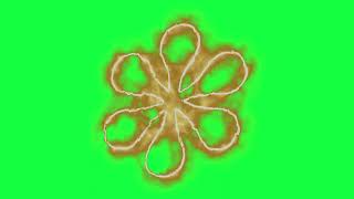 Asterisk Sign Fire Logo Loop Green Screen Chroma Animation