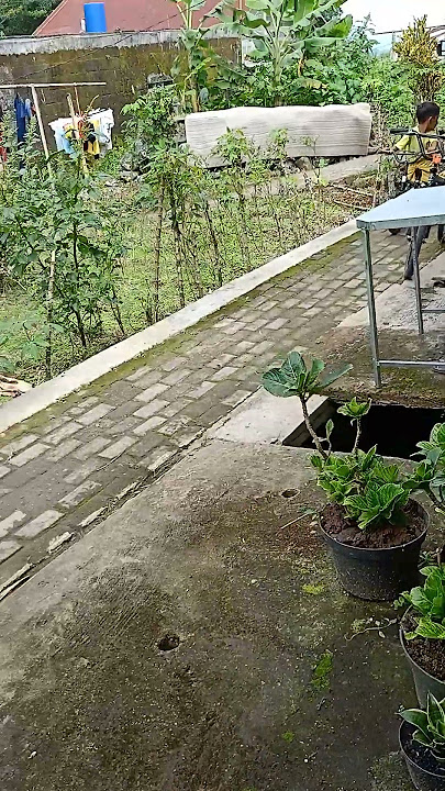SUASANA DI DESA SUARA TENGES DONGKERET MASIH BISA DI DENGAR,