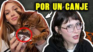 Cancelaron a Sasha Ferro por lo que le hizo a su gato (¿Fue para tanto?)😾  @teconanita