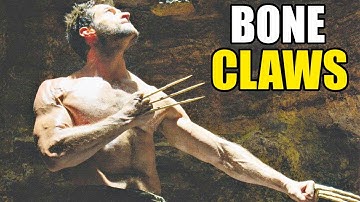 Why Wolverine