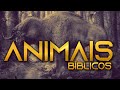 Animais Bíblicos EXTINTOS