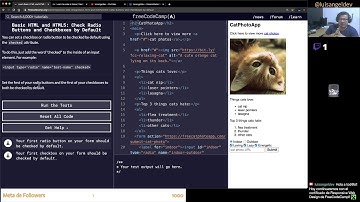 Seleccionando radio buttons y checkbox en HTML - freeCodeCamp en Español