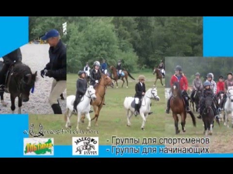 КОННЫЙ ЛАГЕРЬ