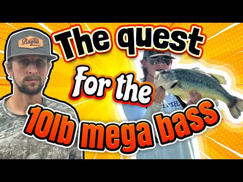 The Quest For A MEGABASS!