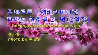 복사꽃 &amp; 모차르트 : 엘비라마디간-피아노 협주곡 21번(2악장) &amp; photo by 우승술