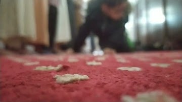 تلاوة خاشعة للقارئ ياسين الجزائري من تراويح رمضان  1443-2022