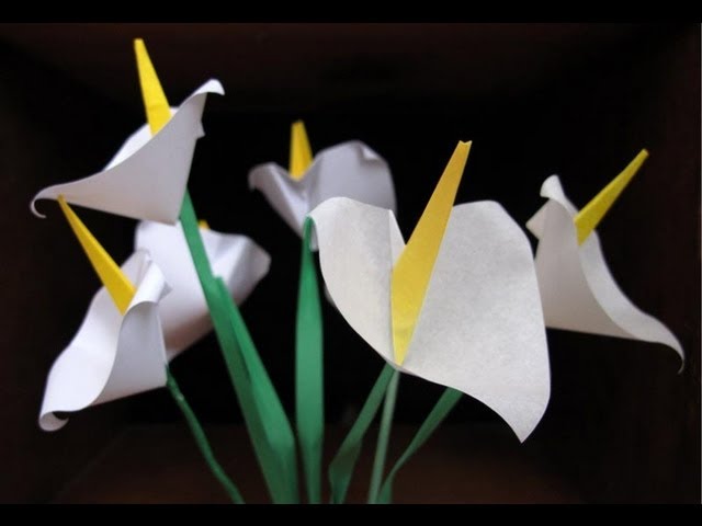 Origami Calla Lily :: Flor Alcatraz - Cartucho - thptnganamst.edu.vn