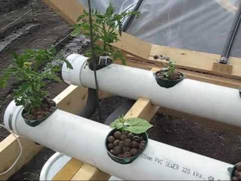 DIY Hydroponic Greenhouse update 01 - YouTube