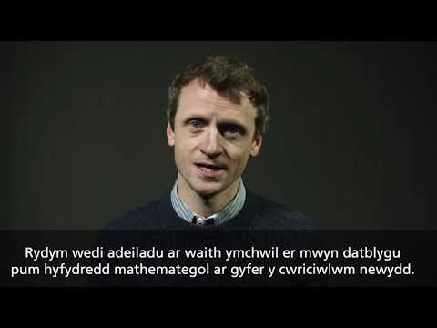 Dafydd Gwyn - Mathemateg a Rhifedd / Mathematics and Numeracy