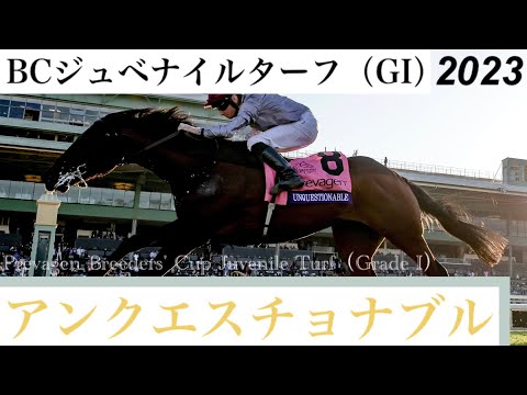 惜敗続きのアンクエスチョナブルがG1初制覇【BCジュベナイルターフ2023】/ Unquestionable【Prevagen Breeders' Cup Juvenile Turf 2023】