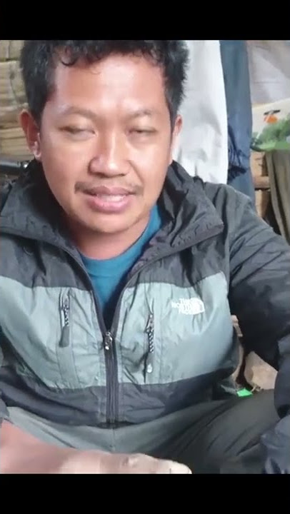 Fungisida Pamungkas untuk Phytophthora infestans