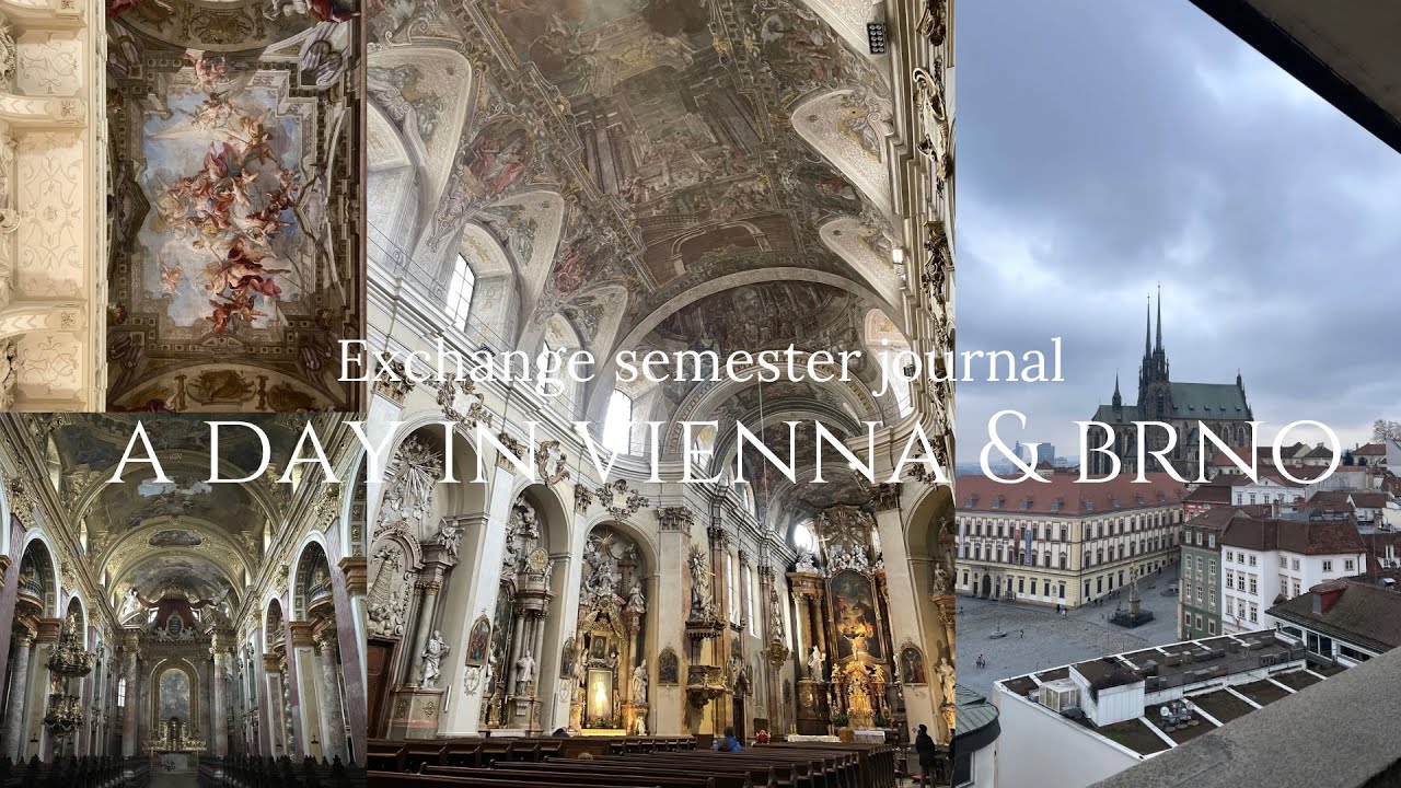 A day in vienna and brno ｡𖦹°‧