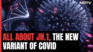 All You Need To Know About The New COVID Variant JN.1