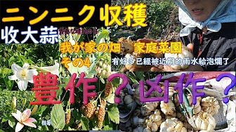 家庭菜園自給自足田園生活 Youtube 家庭菜園自給自足田園生活 Youtube