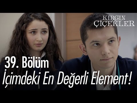 Güney'e olan aşkı Songül'e şiir yazdırdı! - Kırgın Çiçekler 39. Bölüm