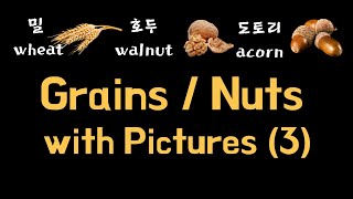 [Grains/Nuts 곡류/견과류] Korean words with pictures (3) (Korean vocabulary for beginners)