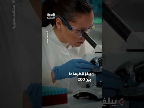 اكتشاف تركيبة خلوية جديدة تعزز إعادة التدوير والتخلص من الفضلات