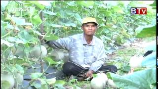 BTV Khmer Agriculture News  Aug 22,2015