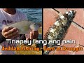 Danggit, Loro Fishing gamit lang ang Tinapay l Parrot & Rabbit fish