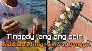 Danggit, Loro Fishing gamit lang ang Tinapay l Parrot &amp; Rabbit fish