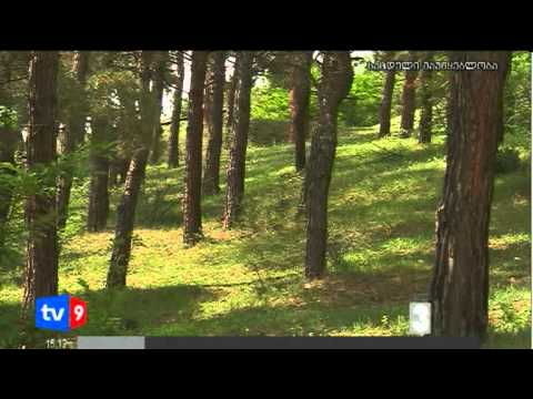 ახალი 3 | გადასახადის გაუქმება | 14.10.12