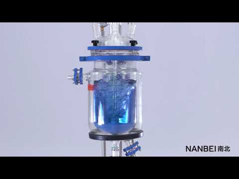 NBF 5L Double layer glass reactor