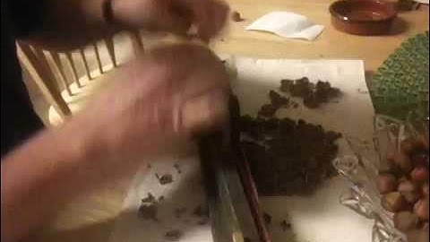 Inertia nutcracker world record