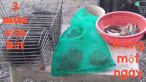 Tổng hợp đặt cạm chuột, lợp ếch, thả đú, 12 cửa ngục mưu sinh mùa côvi.