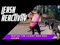 Watch as I coach a client through her 100lb dog's leash reactivity.