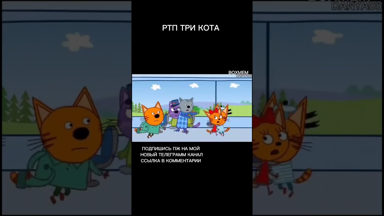 Ритп три кота