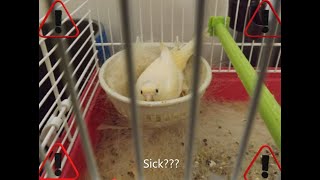 Warning!  Sick??? (re-post)