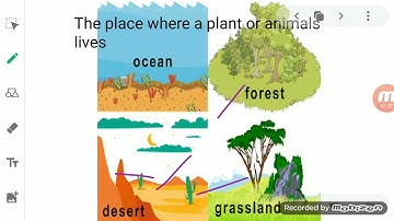 ClassVI Science 27 05 2020 by Ms Mridulata Upadhyay