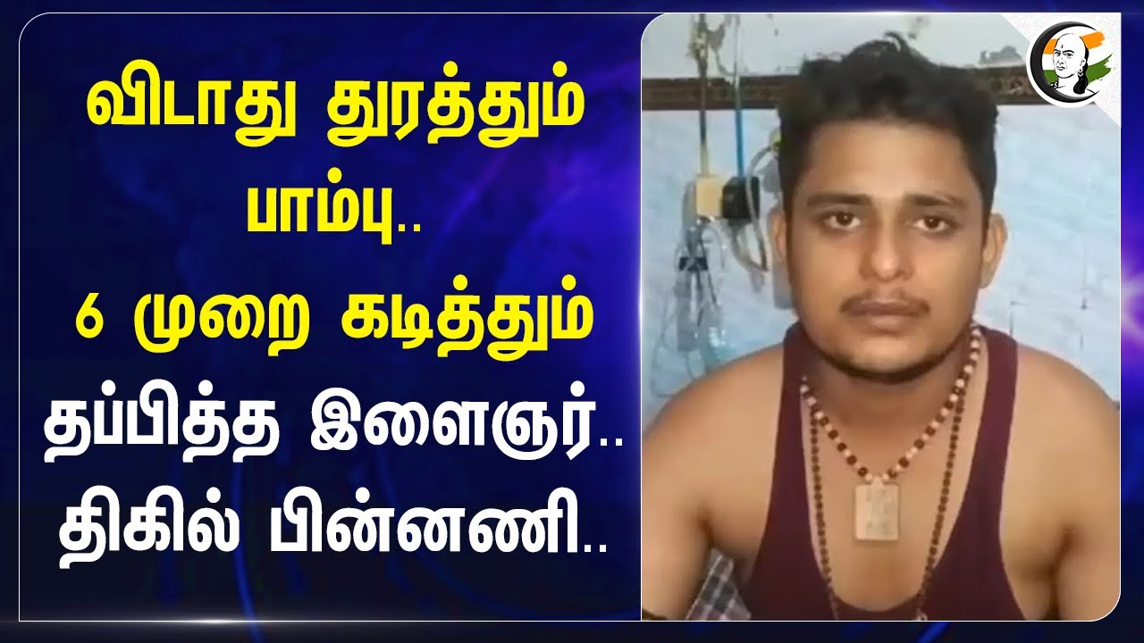 விடாது துரத்தும் பாம்பு.. 6 முறை கடித்தும் | Uttar Pradesh | Snake Bite