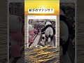 大人げないw#おもしろ動画#short#reel#スッキリ#Twitter