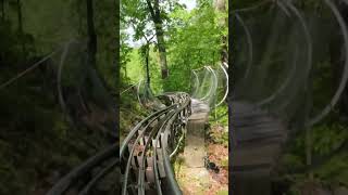 Alpine Coaster Pigeon Forge, TN #foryou #rollercoaster #gatlinburg #travel #pigeonforge #tennessee