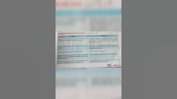 difference between server and web server