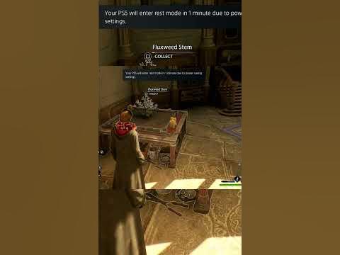 Console goes to rest mode while I wait for Fluxweed to Grow! - Hogwarts