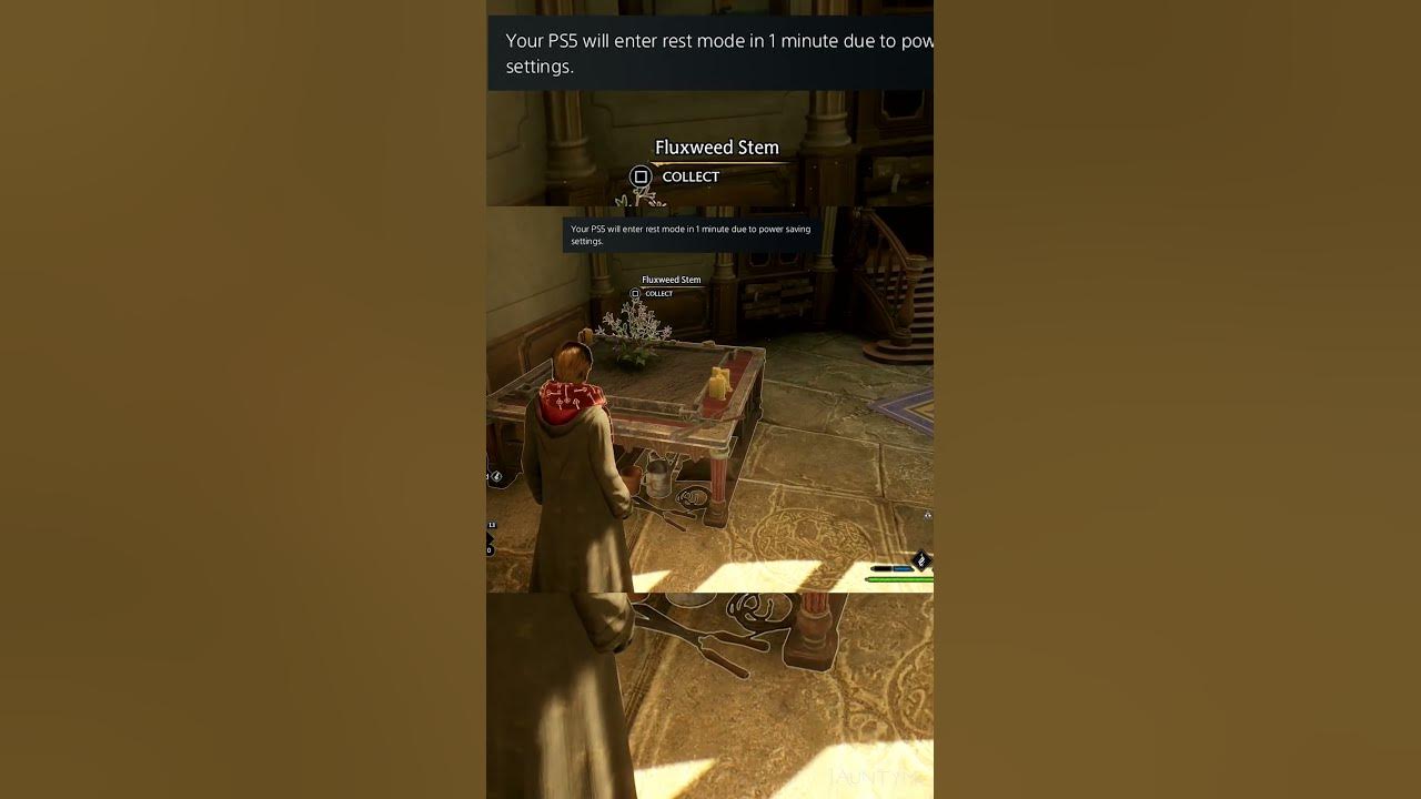 Console goes to rest mode while I wait for Fluxweed to Grow! - Hogwarts