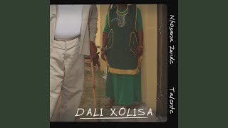 Dali Xolisa