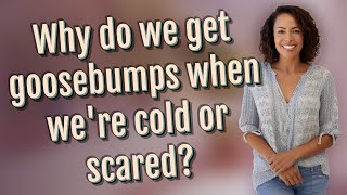 Why do we get goosebumps when we're cold or scared?