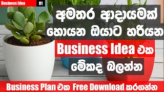 Part time business- Desk Plants | ගෙදර ඉදන් කරන්න පුලුවන් Business Idea එකක් | #1