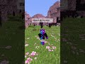 The Perfect Loop #shorts #minecraft #memes